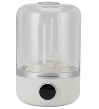 Portable Mini Underwear Washing Machine