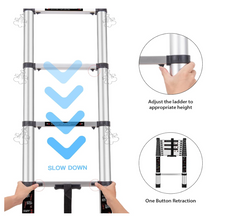 Telescopic Ladder