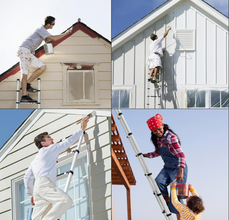 Telescopic Ladder